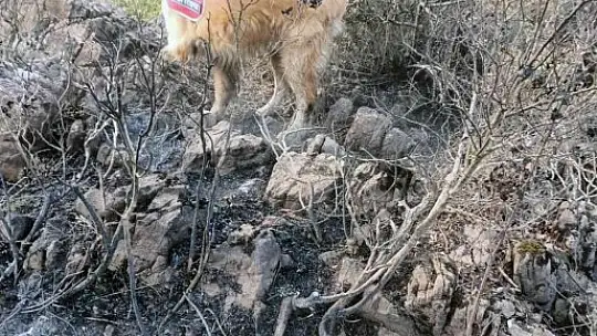 Yangının çıktığı noktayı 'Kadro' tespit etti
