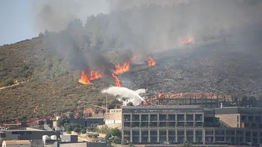 Yangınlarla ilgili Cumhuriyet başsavcılıkları soruşturma başlattı