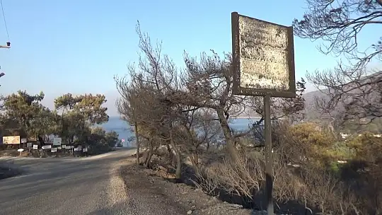 Yaşadıklarını gözyaşları içerisinde anlattılar