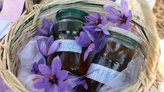 Yatağan'da ilk Safran hasadı