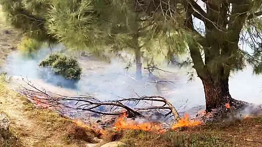 Yatağan'da orman yangını