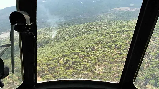 Yatağan'da yıldırım kaynaklı çıkan orman yangın söndürüldü