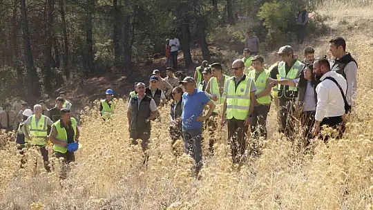 YATAĞAN, MİLAS VE KAVAKLIDERE İŞLETME MÜDÜRLÜKLERİNİN SİLVİKÜLTÜR TATBİKATI YAPILDI