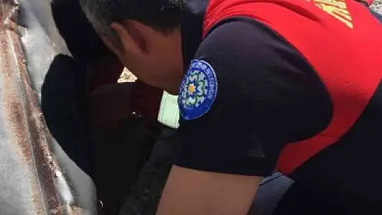 Yavru kediyi kurtarmak için seferber oldular