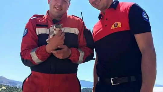 Yavru kediyi kurtarmak için seferber oldular