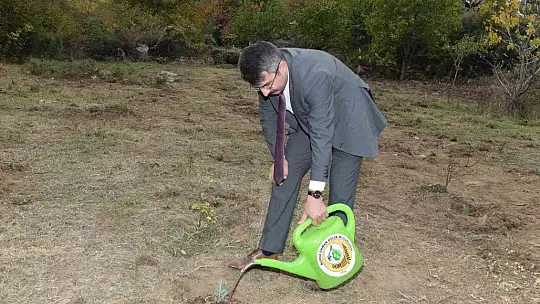 Yeniden yeşil Muğla için güç birliği