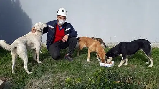 Yeniköy-Kemerköy Elektrik Üretim A.Ş. çevreye duyarlı madenciliğin öncüsü oldu