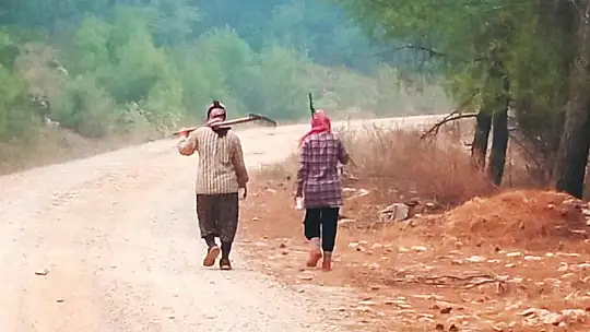 Yeşil Vatan'ın 'Nene Hatunları'