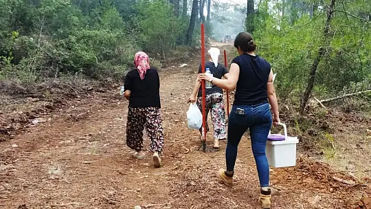 Yeşil Vatan'ın 'Nene Hatunları'