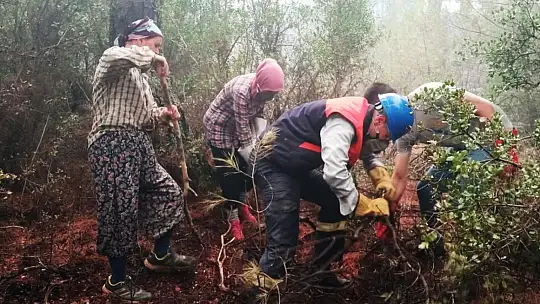 Yeşil Vatan'ın 'Nene Hatunları'