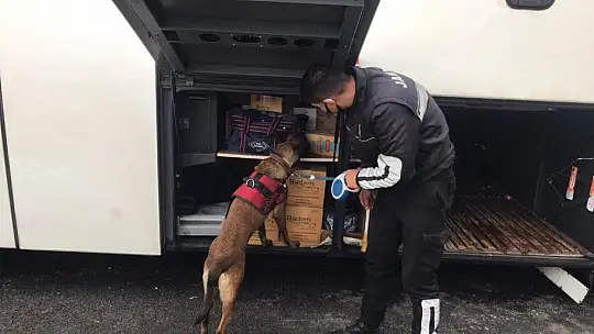 Yılbaşı öncesi Marmaris'e ve Datça'ya giriş yapan tüm araçlar denetleniyor