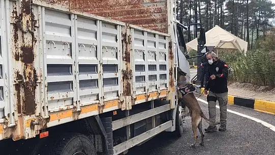 Yılbaşı öncesi Marmaris'e ve Datça'ya giriş yapan tüm araçlar denetleniyor