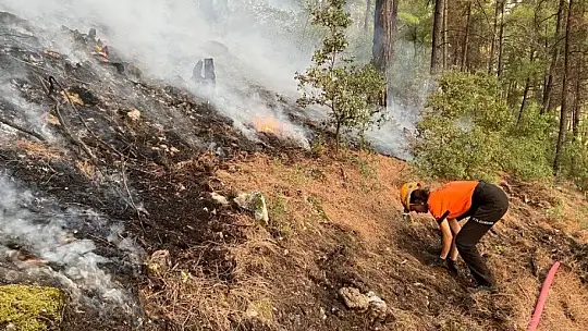 Yıldırım, Muğla'ya 'can' oldu