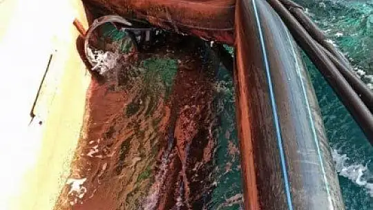 Yük gemisi balık havuzuna girdi, bir milyon balık denize kaçtı