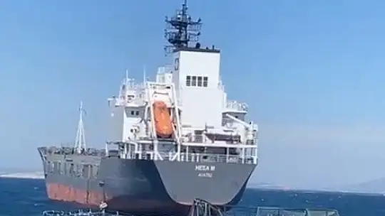 Yük gemisi balık havuzuna girdi, bir milyon balık denize kaçtı