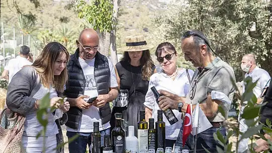 Zeytin hasadının ilk adımları