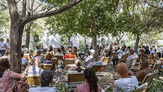 Zeytin hasadının ilk adımları