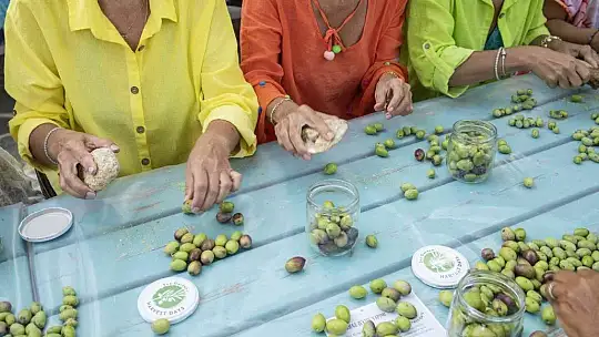 Zeytin hasadının ilk adımları