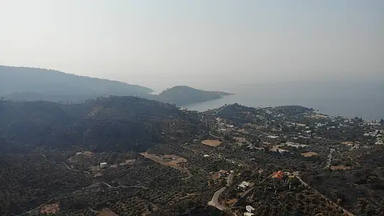 Zeytinliklerinin kül olduğunu gören köylüler gözyaşlarını tutamadı