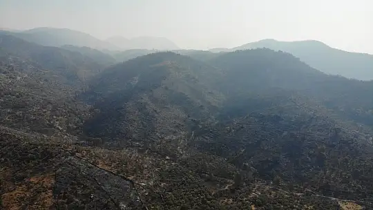 Zeytinliklerinin kül olduğunu gören köylüler gözyaşlarını tutamadı