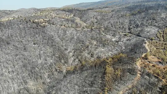 Zeytinliklerinin kül olduğunu gören köylüler gözyaşlarını tutamadı