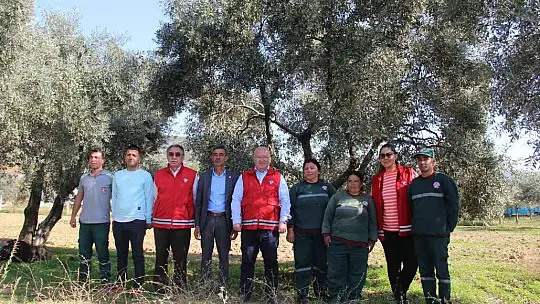 Zeytinyağları ihtiyaç sahiplerine dağıtılacak