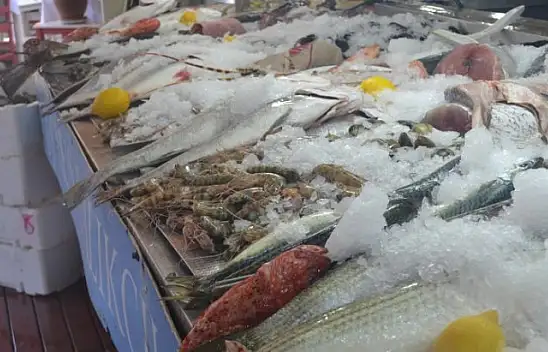 Balık fiyatlarının artışı mazota bağlı