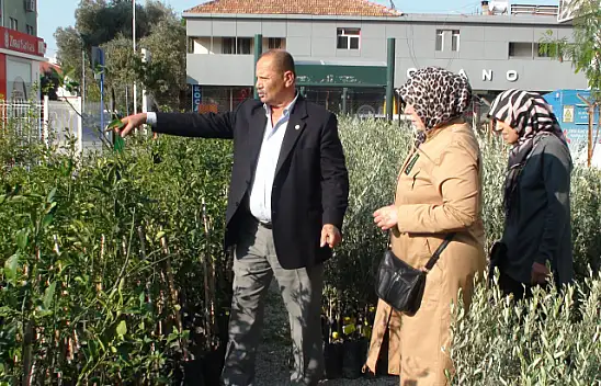 BAŞKAN KARAYİĞİT, 'ZEYTİN FİDANLARI GELDİ'