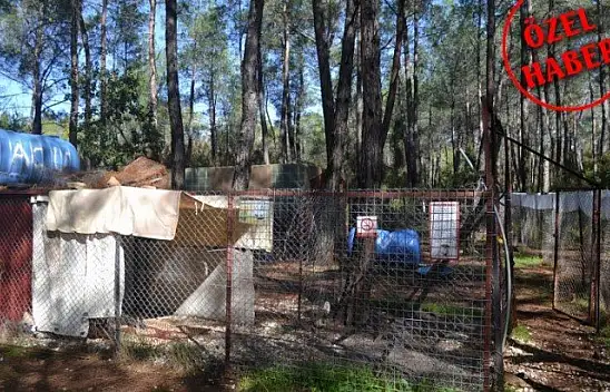 Can dostlar onlara emanet