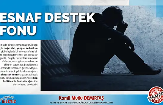 Demirtaş'tan Esnafı İlgilendiren Projeler