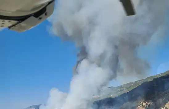 DENİZLİ - MUĞLA İL SINIRINDA ORMAN YANGINI