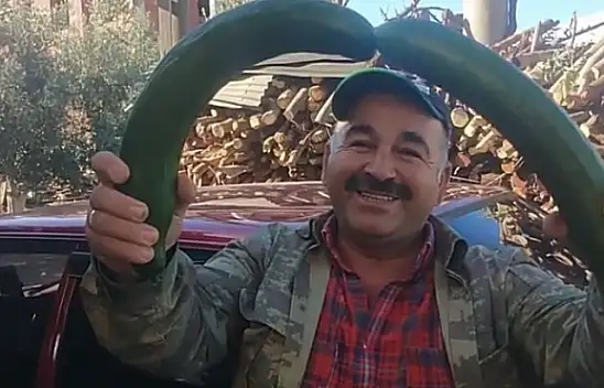 DEVASA SALATALIK GÖRENLERİ ŞAŞKINA UĞRATTI