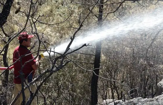 Doğu, 'birlik ve beraberlik duygusu ile mücadele edildi'