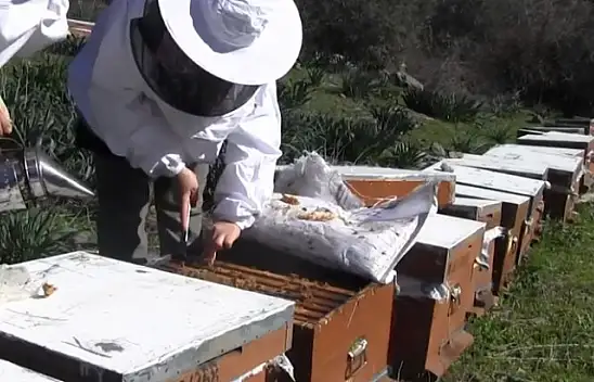 GENÇLER ÜRETİME KATKI SUNUYOR