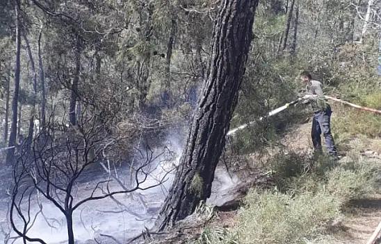 GÖCEK'TE KORKUTAN YANGIN