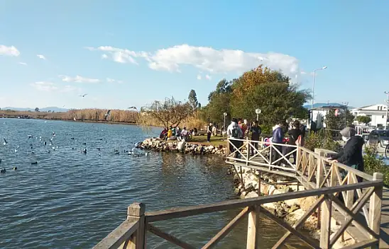 Güzel hava ördeklere yaradı