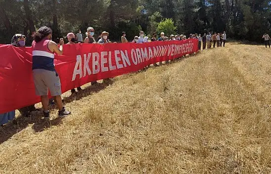 İkizköy Akbelen Ormanı hem Muğla'nın hem de Türkiye'nin sorunudur!
