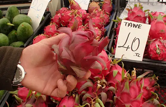 KAÇAR, 'İLGİ VE RAĞBET ÇOK GÜZEL'