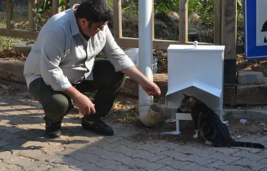 Ölüdeniz'de sokak hayvanları için özel mama kapları yerleştirildi