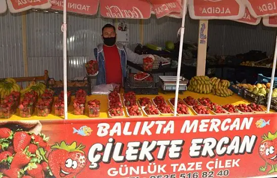 Organik ve doğal Fethiye çileği yoğun ilgi görüyor
