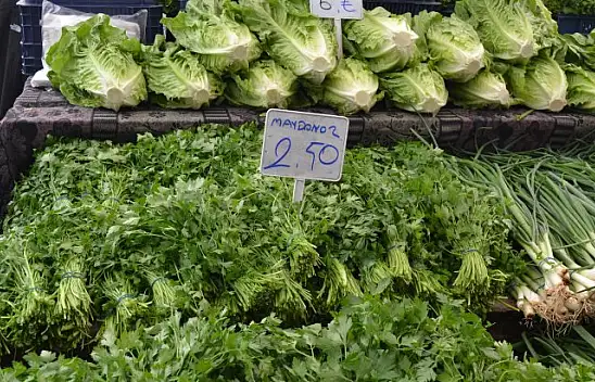 REKOR BU HAFTA DA FASULYE'DE