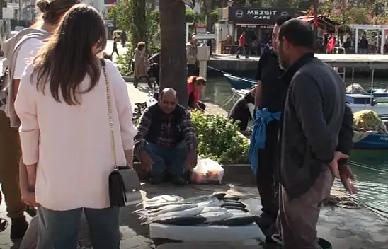 SAHİL BANDINDA BALIK BEREKETİ