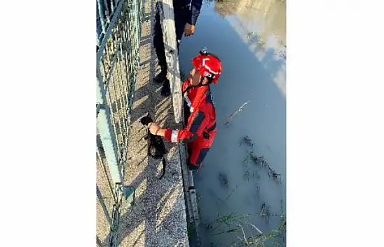SEYDİKEMER'DE ÇAYA DÜŞEN KEDİYİ İTFAİYE KURTARDI