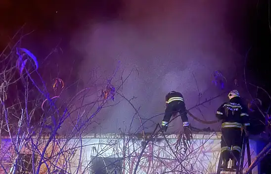 TEK KATLI EV ALEVLERE TESLİM OLDU