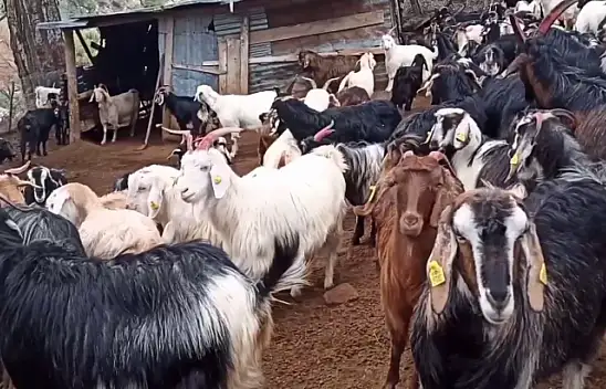 TESPİT VE GÜNCELLEME ÇALIŞMALARI DEVAM EDİYOR