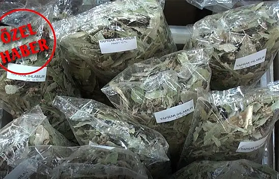 Topçu, 'Bitki çayları kararında tüketilmelidir'