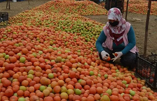 Üretici 'Girdilerdeki ÖTV kaldırılsın'