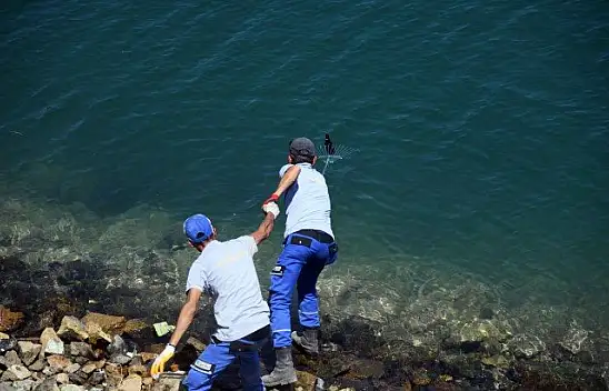 Yarımada'da bayram sonrası temizliği