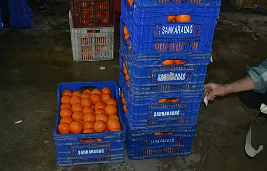 Yaş Sebze Meyvede Üretim Düşüyor