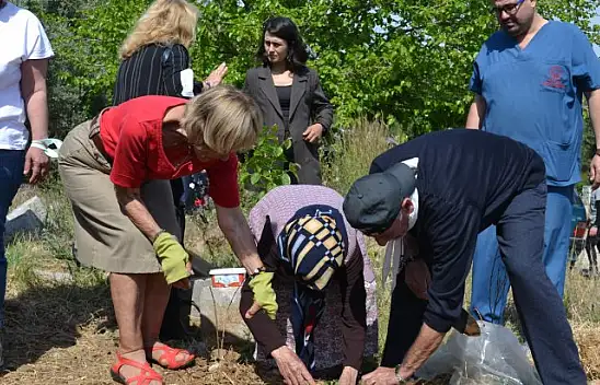 YAŞLILAR FİDAN DİKTİ